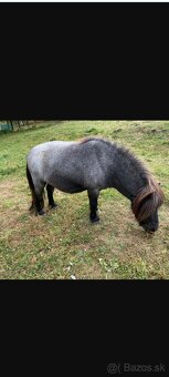 Predam mini ponika - 4