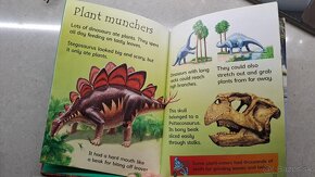 Usbourne Beginers Dinosaurus - 4