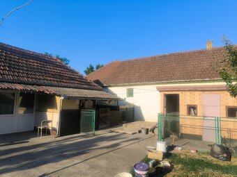 🏡 Dva domy v klidné části obce na severu Srbska - 4