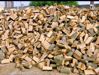 palivové drevo - 4