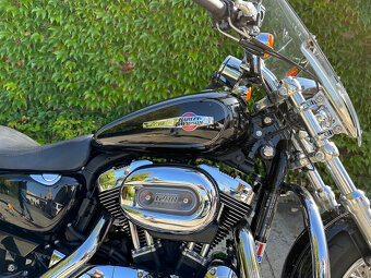 Harley Davidson Sportster 1200 - 4