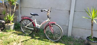 Detský bycikel 22 batavus - 4
