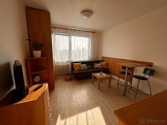 PET friendly útulná garsónka - 4