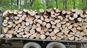 Palivové drevo s dovozom - 4