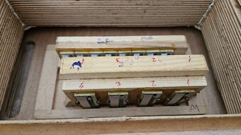 Heligonka Hohner Club - 4