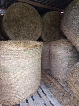 Predám balíky sena - 4