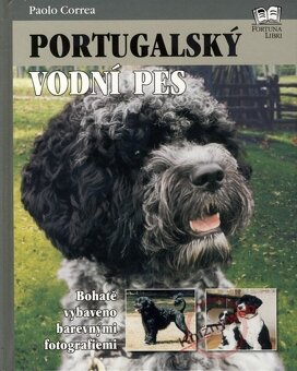 Mačky, psy, zvieratá, chov - 4