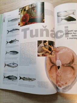 Predam  novú veľkú knihu Food. Všechno ze sveta potravin. - 4