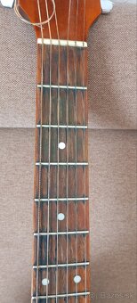 Elektro akustická gitara Bull - 4