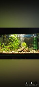 Predám akvarium - 4