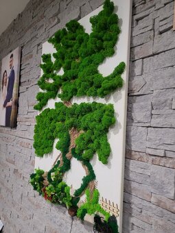 Machovy obraz na plátne - 4