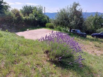 Rekreačný pozemok, Hrušov - 4