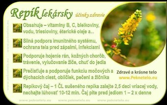 Bylinky 6-druhov+semienka kôpor - 4