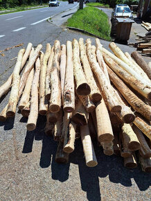 Agátové koly, stĺpiky, drevo a dosky - 4