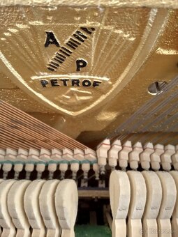 Petrof - 4
