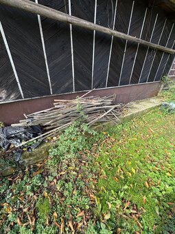 Darujem drevo za odvoz - 4