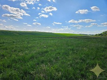 Na predaj poľnohospodárske pozemky v obci Hontianske Moravce - 4