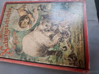 Naturgeshichte 19.storocie - 4