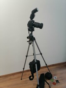 Nikon D310 - 4