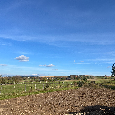 Stavebný pozemok Skalica 2000 m² - 4