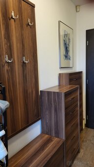 Predsieňová zostava - 4