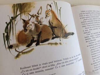 Rudo Móric - Srnka s červenými hviezdičkami - 4