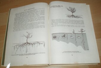 Štepenie, očkovanie a preštepovanie drevín - 4