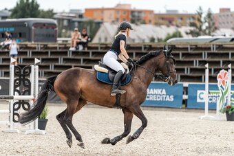 6 ročná kobyla - Madlen RUF - 4