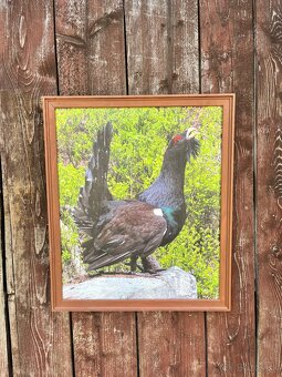 Živé Obrazy - Fotografia na platne - 4