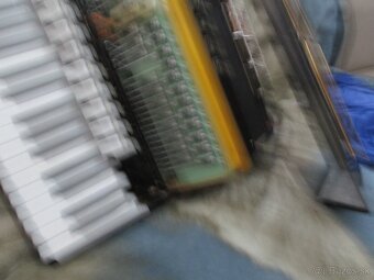 harmonika delicia - 4