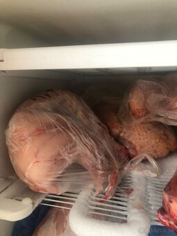 Predám zajačie mäso - posledné 5 kusov - 4