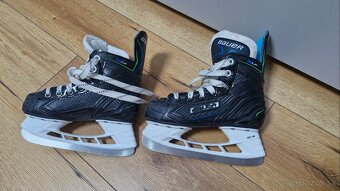 Korcule 31 yth12 - 4