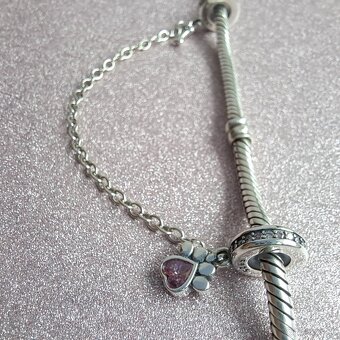 Bezpečnostná retiazka Labka - 4