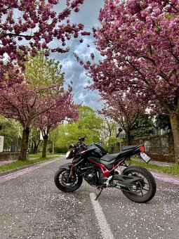 Honda Hornet 750 - 4