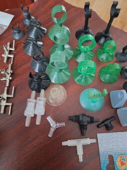 Predám akvaristicke prebytky - 4