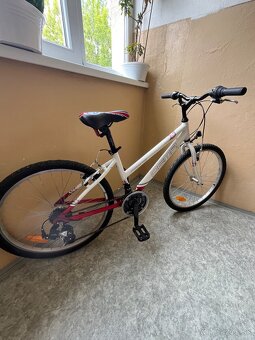 Detský bicykel Dema Pegas - 4