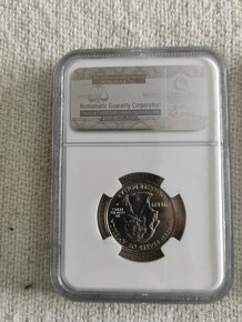 USA mince - 4