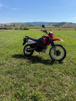 Honda xl 600 pd04 - 4