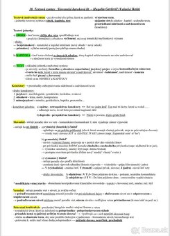 Maturitné otázky SJ/LIT - 4