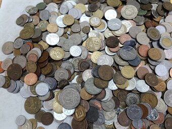 Mince 3.5kg lot5 - 4