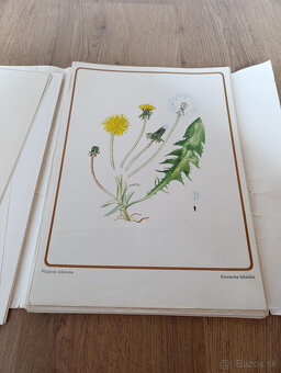 Staré školské pomôcky - 4