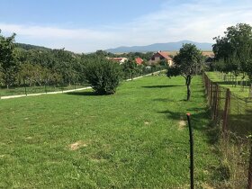 Slnečný stavebný pozemok 13km od Piešťan - DOHODA MOŽNÁ - 4