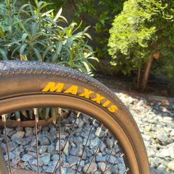 CTM dirtking 2021 - 4