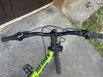 CTM BERRY 2.0 2020. 24” - 4
