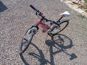Bicykel CTM Willy - 4