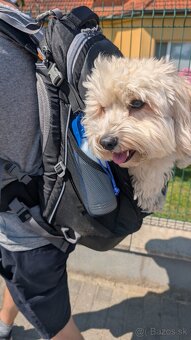 Mi Robot Vacuum - Mop P - 4