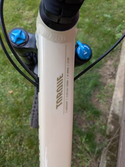 Canyon Torque Mullet AL - 4