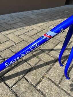 RAM favorit f1S. - 4