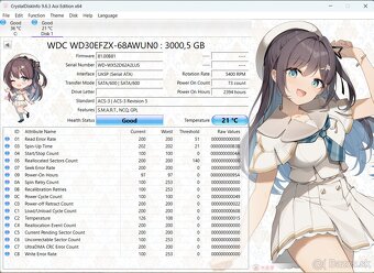 HDD WD RED 3TB - 4