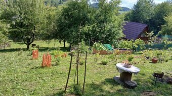 Záhrada v PB Jelšové - 4